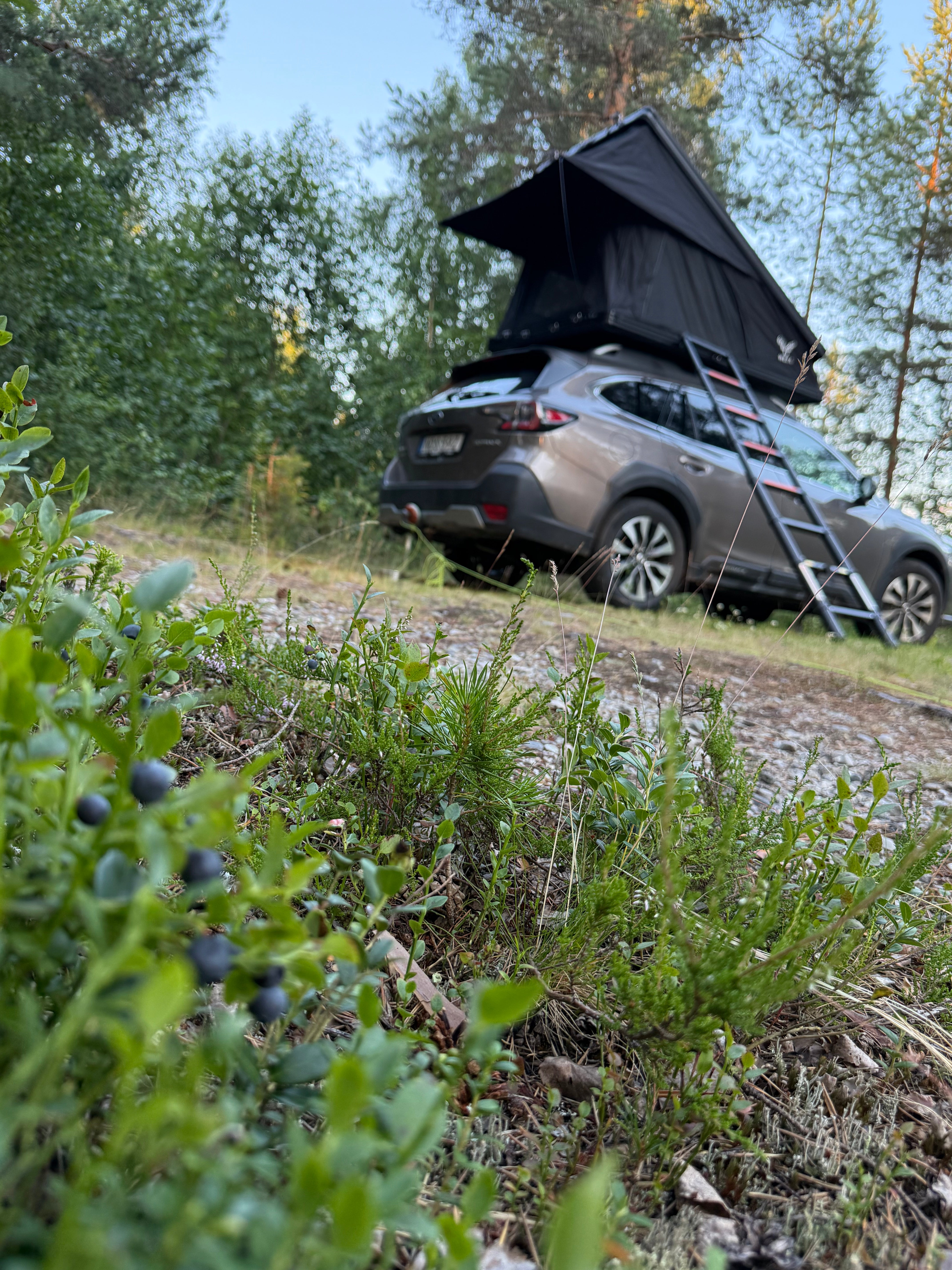Rooftop tent Nordic Light - Hardshell tent